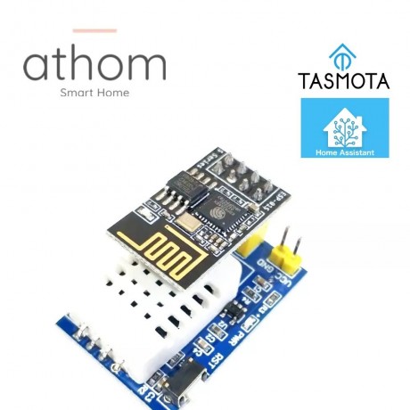 Temperature and humidity sensor with WiFi interface and TASMOTA software, DHT22 sensor, ESP8266 chip.